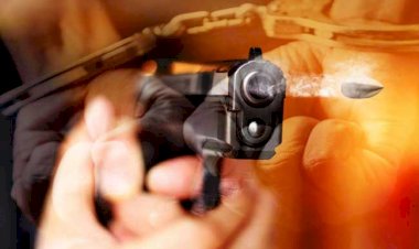 துப்பாக்கி பிரயோகம் நடத்திய பாதுகாவலர்கள் இருவரும் கைது - KinniyaNews.com